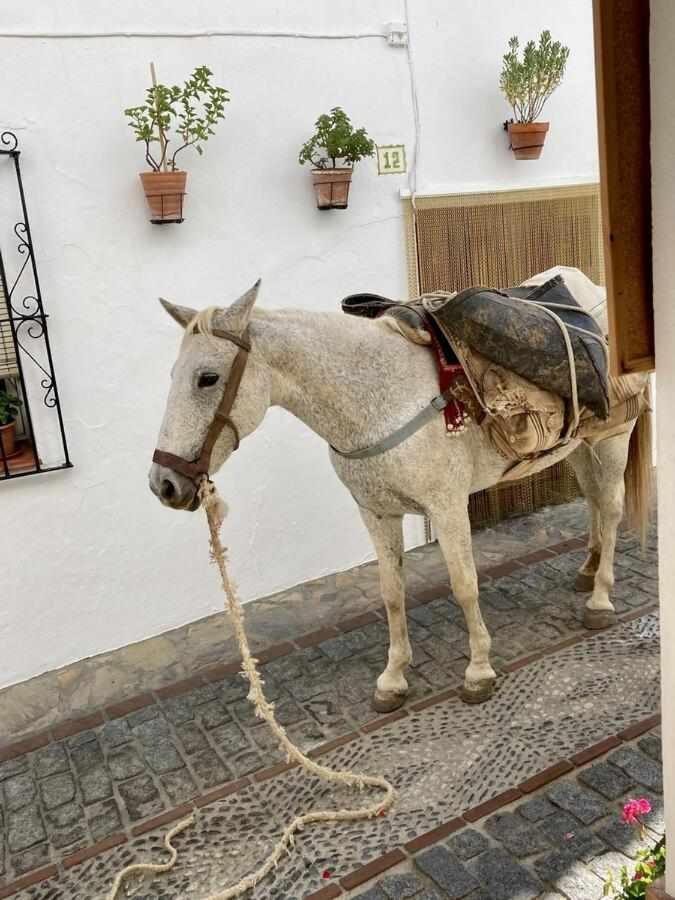 Casa Rural Villa Sila Benalauría エクステリア 写真