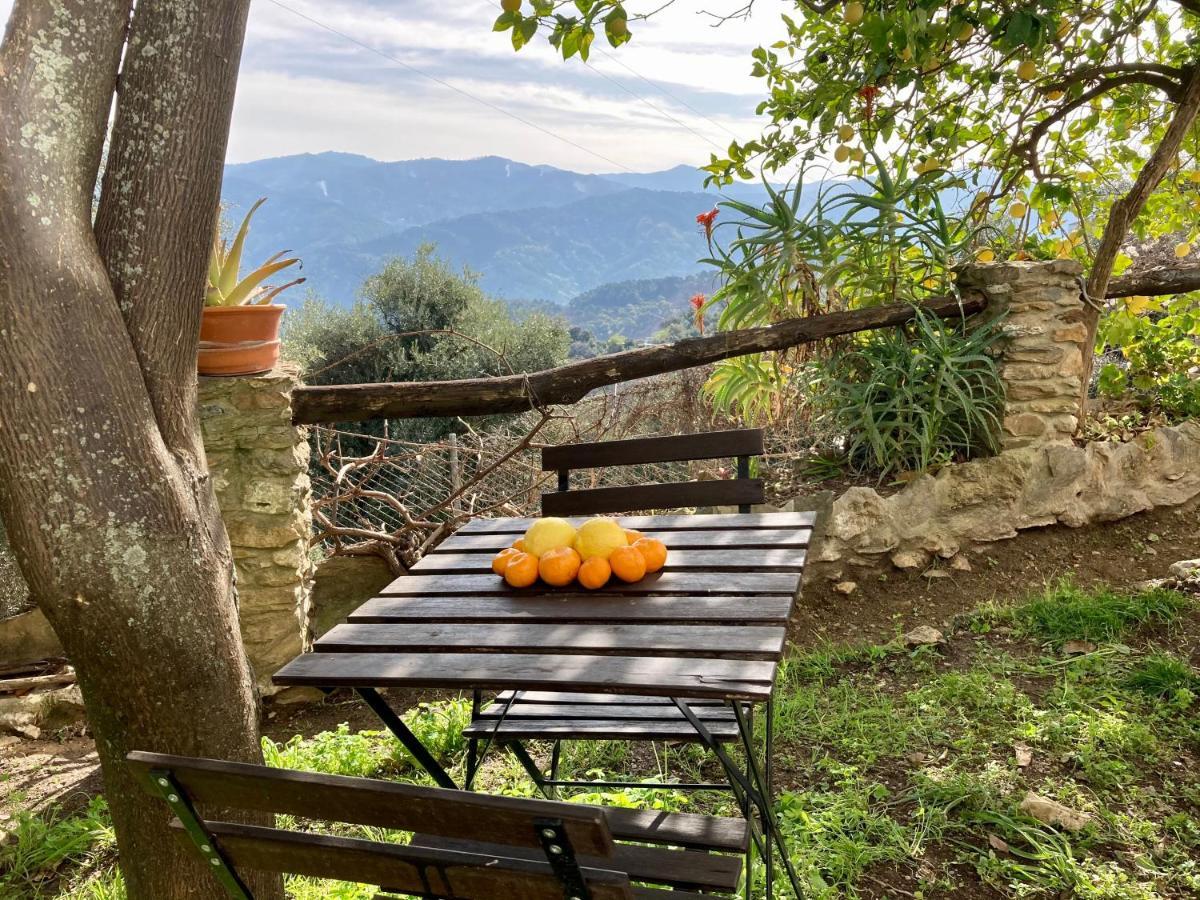 Casa Rural Villa Sila Benalauría エクステリア 写真